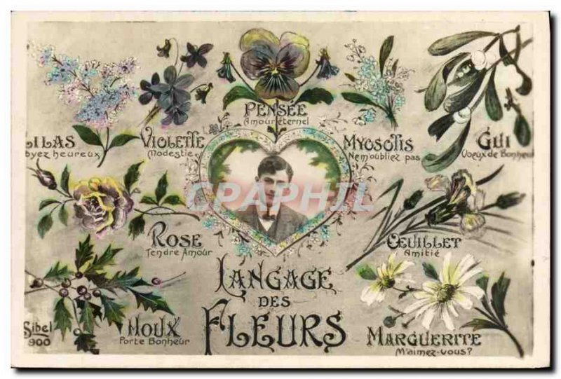 Old Postcard Fantasy Flowers of Language