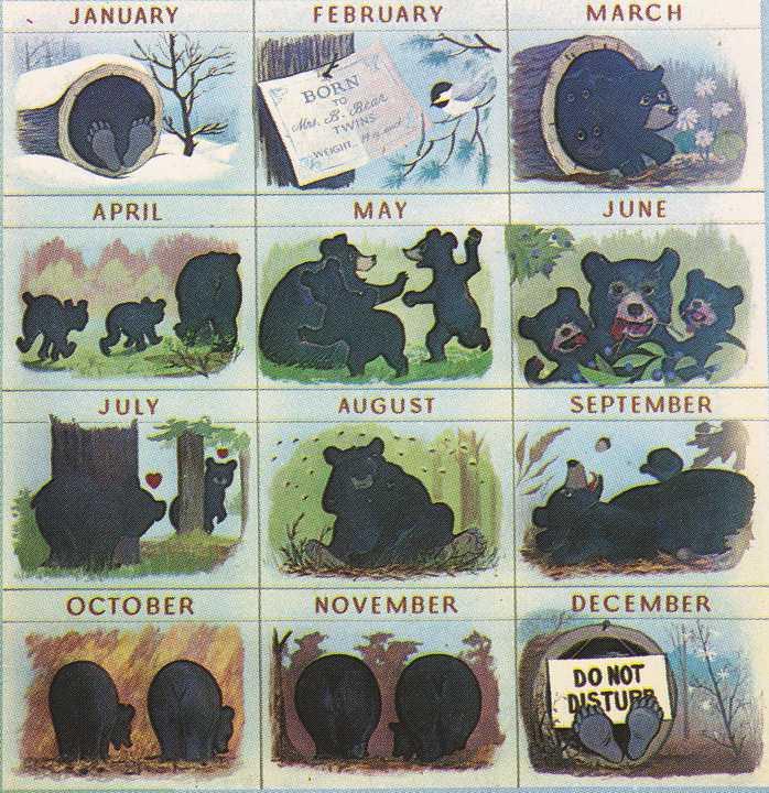 Black Bear Life by Calendar Month - Great Smoky Mountains TN, Tennessee
