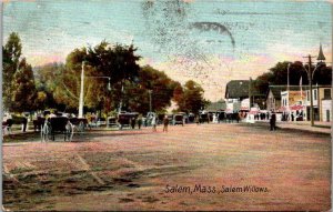 Vintage Massachusetts Postcard - Salem - Salem Willows - Horse Buggy