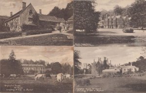 Newton Brympton Farm & House Yeovil Antique St Ivel 4x Advertising Postcard