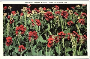 Postcard GARDEN SCENE Milwaukee Wisconsin WI AI2739