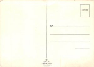 Butterfly View Postcard Backing 