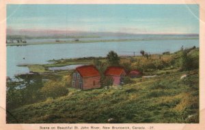 Vintage Postcard 1910's  Beautiful St. John River New Brunswick Canada CAN