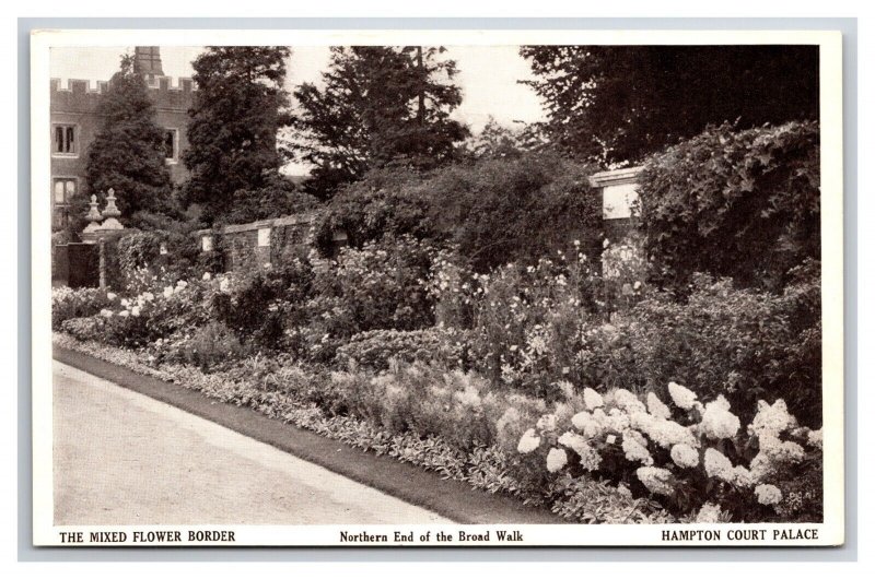 Lot Of 8 Hampton Court Palace Middlesex England UNP WB Postcards R29