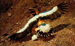 USA Navajo Eagle Dancer New Mexico Chrome Postcard 08.65