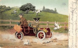 Automobile Old Car Dog Farm Comic Driving 1908 Mitchell Vintage Postcard