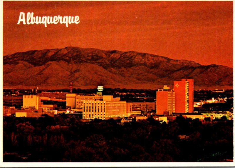 New Mexico Albuquerque Skyline At Night