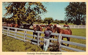 Kentucky's world-famous thoroughbreds Bluegrass horse farm in Kentucky Lexing...