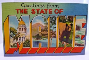 Greetings From State Of Maine Large Big Letter Postcard Linen Brown Bear 1948