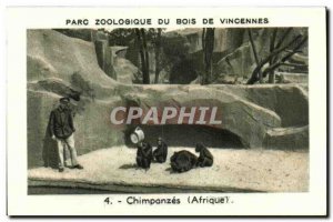Image Zoo de Vincennes wood chimpanzees africa