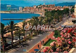 CPM Cote d'Azur French Riviera Cannes Alpes Maritimes La Promenade de la Croiset