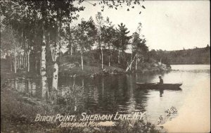 Sherman Lake New York NY Birch Point Adirondack Mountains Vintage Postcard