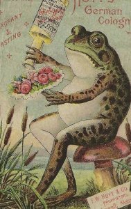 AB-015 MA Lowell Hoyt's German Cologne Frog on Mushroom Victorian Trade Card