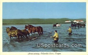 Horse-Seining - Columbia River, Oregon OR  