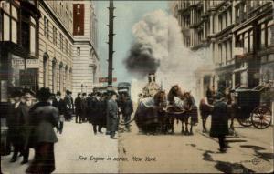 FDNY New York City Steamer Fire Engine Horses in Blankets c1910 Postcard