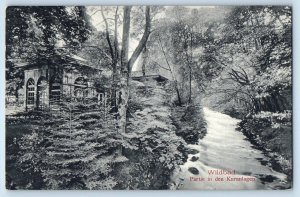 Bad Wildbad Germany Postcard Scene in the Spa Facilities c1910 Antique