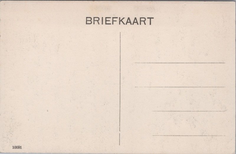 Netherlands Sluis Stadhuis Vintage Postcard C090