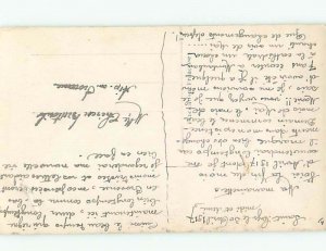 tinted rppc c1910 BEAUTIFUL FLOWERS AC9107