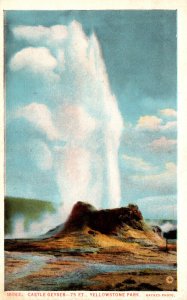 Yellowstone National Park Castle Geyser Haynes Photo