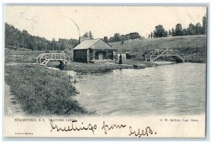 1905 Trappers Lodge Stamford New York Raphael Tuck Son Vintage Antique Postcard