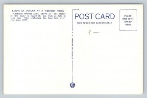 Cheyenne  Wyoming   Bronco  Cowboy  Rodeo  Postcard