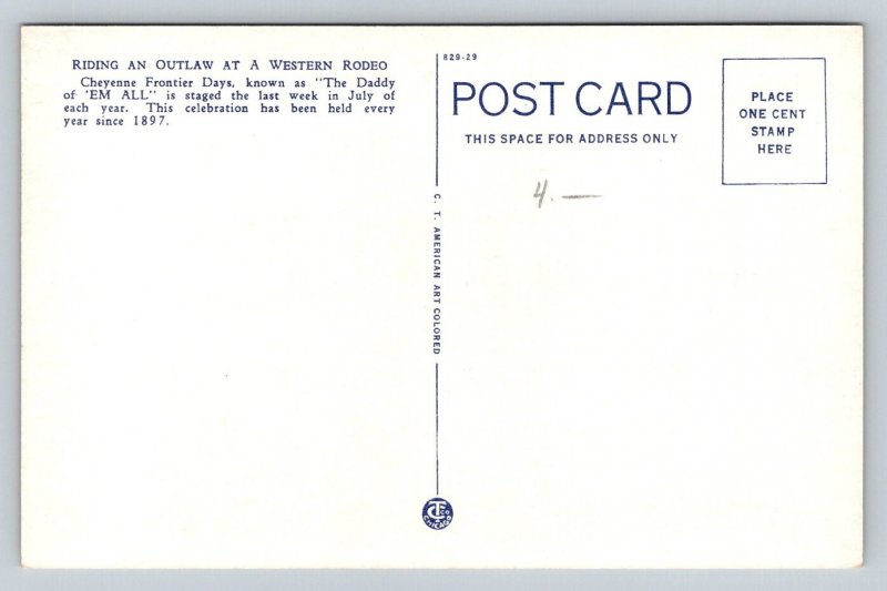 Cheyenne  Wyoming   Bronco  Cowboy  Rodeo  Postcard