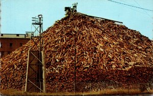 Maine Woodpile Huge Pile Of Pulpwood At Paper Mill