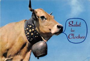 BT9256 salut les cloches france cow vache animal animaux