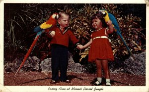 USA Parrots Pose With You Miami's Beautiful Parrot Jungle Chrome Postcard 08.59