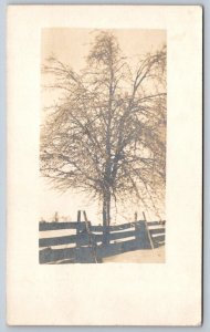 Ontario Canada Winter Landscape, Antique 1910s RPPC Real Photo Postcard #1