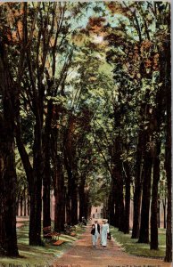 St. Albans, Vermont - Taking a stroll down Taylor Park - c1908