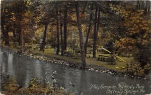 Mt Holly Springs Pennsylvania~Play Grounds @ Mt Holly Park~Teeter-Totter~c1910