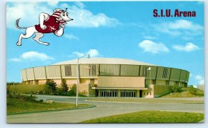 CARBONDALE, IL  ~ S.I.U. ARENA- Southern Illinois University c1960s Postcard