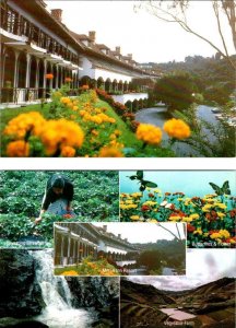 2~4X6 Postcards Cameron Highlands, Pahang Malaysia  MERLIN INN RESORT HOTEL