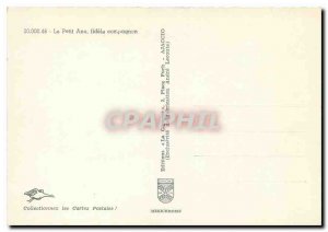 Modern Postcard The Little Donkey faithful companion