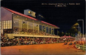 Vtg 1950 Greyhound Racing Dog Track Miami Florida FL Unused Linen Postcard