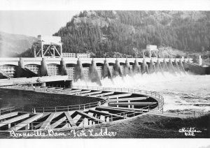 Bonneville Dam Oregon OR~Fish Ladder~RPPC Real Photo Postcard