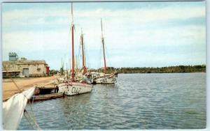 NUEVA GERONA, ISLE of PINES, CUBA  Boats on LAS CASAS RIVER Postcard