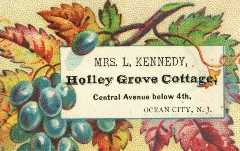 1880's Mrs. L. Kennedy Holley Grove Cottages Ocean City NJ Grapes Leaves P153