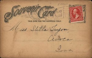 1901 Early Washington DC Postcard Congressional Library