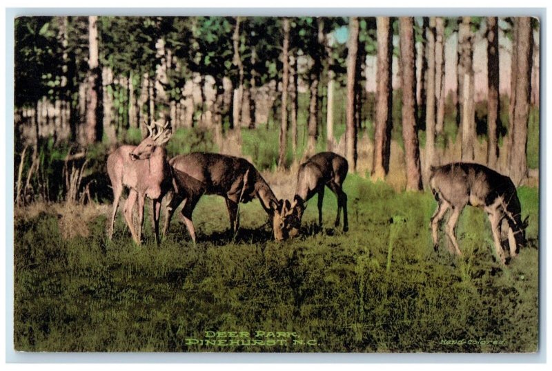 c1910's Deer Park Scene Pinehurst North Carolina NC Unposted Vintage Postcard