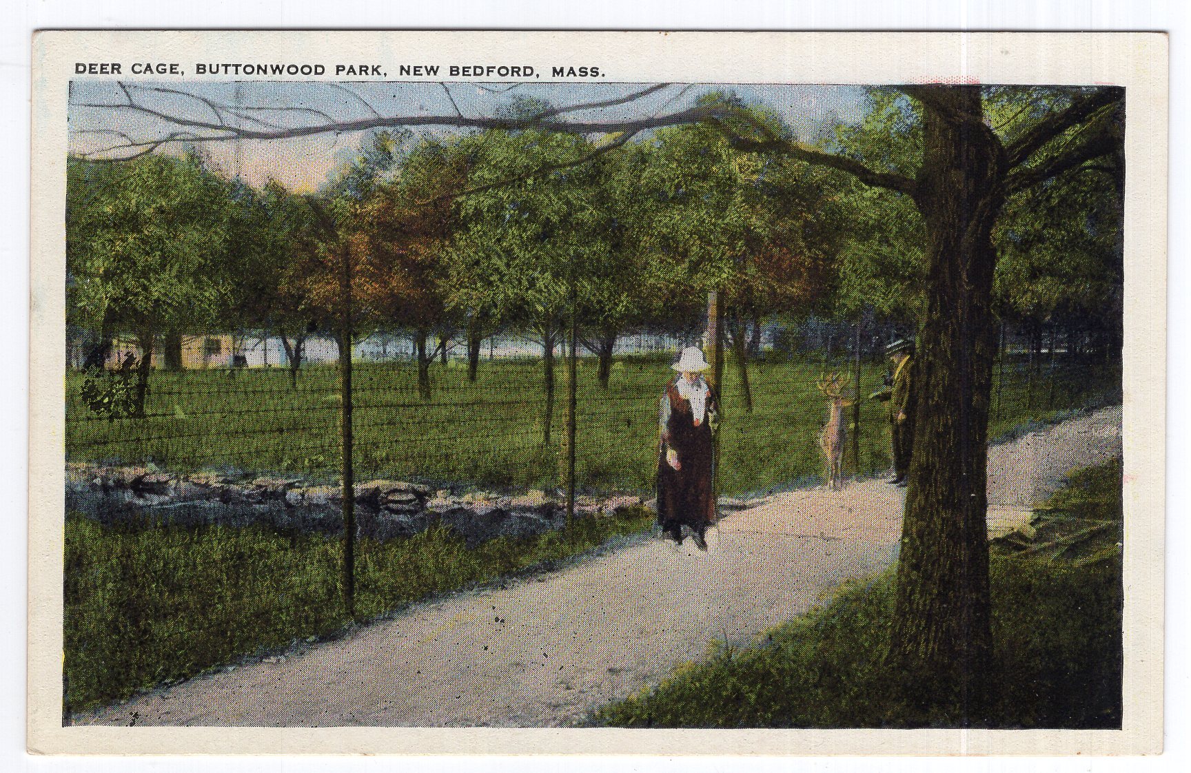 New Bedford Mass Deer Cage Buttonwood Park United States
