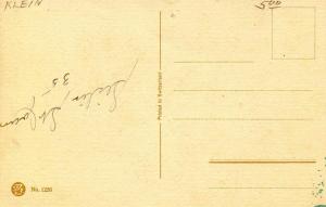 Flowers.   Artist: Catherine Klein