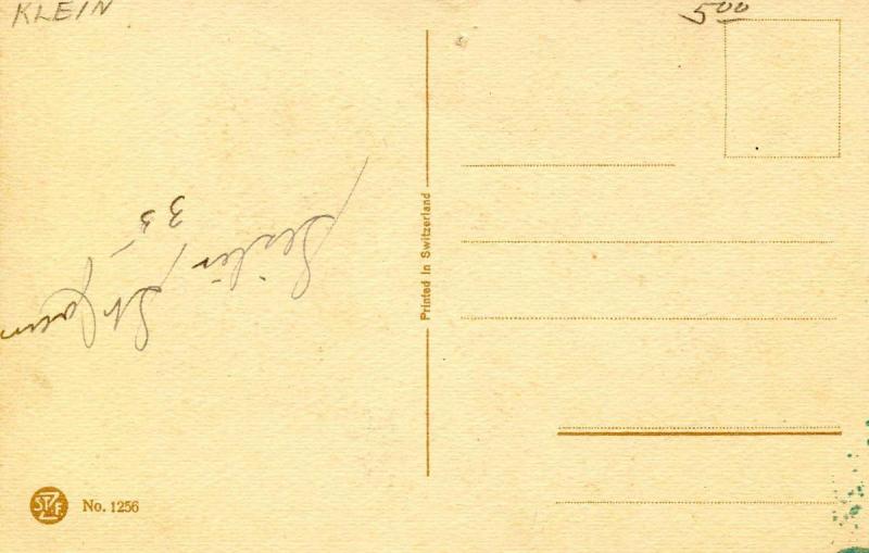 Flowers.   Artist: Catherine Klein