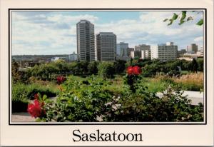 Ramada Hotel Skyline Saskatoon Saskatchewan SK Sask Unused Vintage Postcard D45