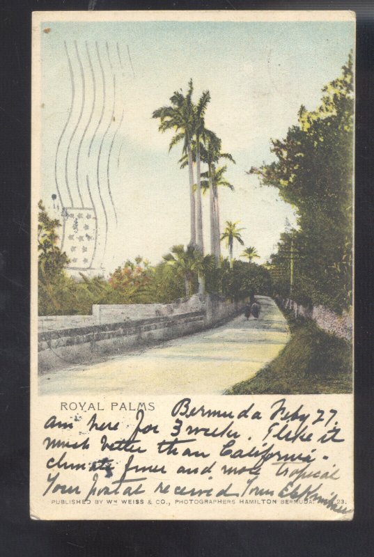 ROYAL PALMS BERMUDA 1905 VINTAGE POSTCARD NICE STAMP