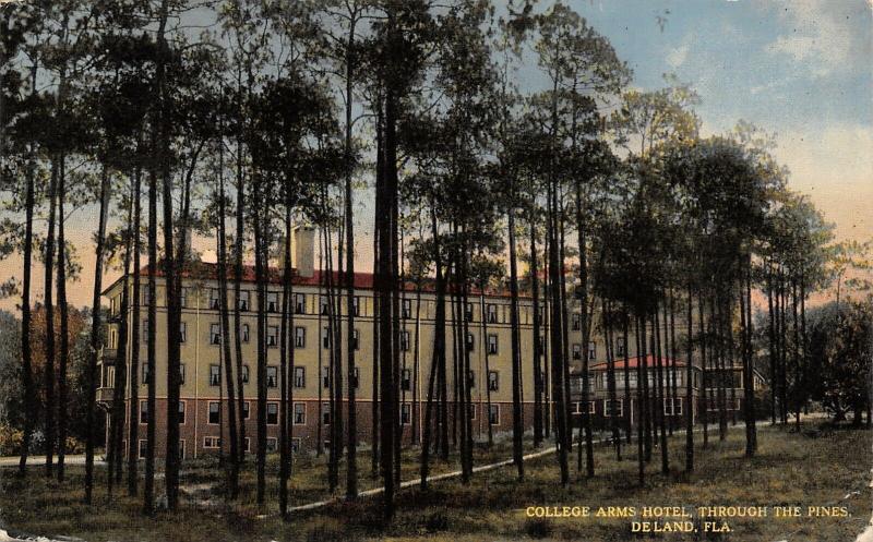 Deland Florida~View of the College Arms Hotel Peeking Thru Trees~Gone! c1910 