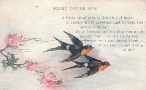 Friendship Wishes For Sick Birds And Cherry Blossoms Greetings Vintage Postcard