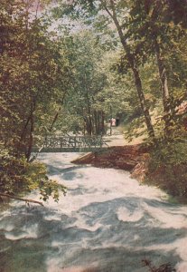 Vintage Postcard Trails and Pathways Along the River Woods Bridge Hiking Area