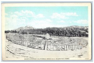 c1940 Ranch US Silver Fox Farms Shasta Springs California CA Antique Postcard